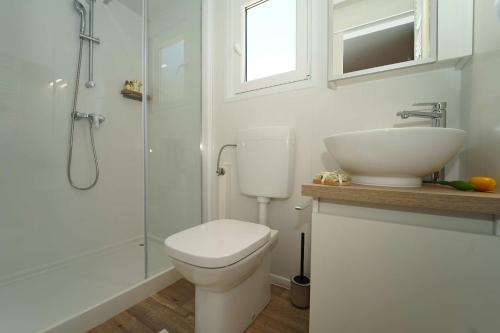a bathroom with a toilet and a sink and a shower at Holiday Home Artina 1 in Lovište