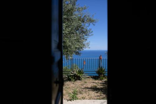 Φυσικό τοπίο κοντά σε αυτό το διαμέρισμα