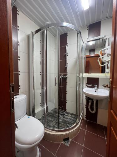 ein Bad mit einer Dusche, einem WC und einem Waschbecken in der Unterkunft Villa Dionis in Ohrid