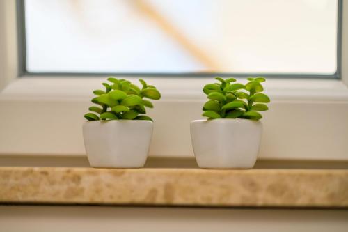 two plants in white pots sitting on a window sill at House Rosa in Mali Lošinj