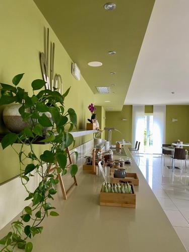 a lobby with a pharmacy with plants on the floor at Hotel Campagnola in Malcesine