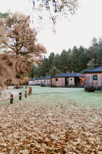 a row of wooden buildings in a field with trees at Riverside Cabins in Shrewsbury