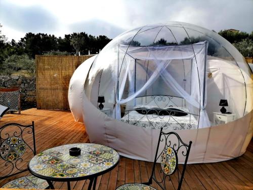 Fotografie z fotogalerie ubytování Resort Paradise Marina di Camerota v destinaci Marina di Camerota