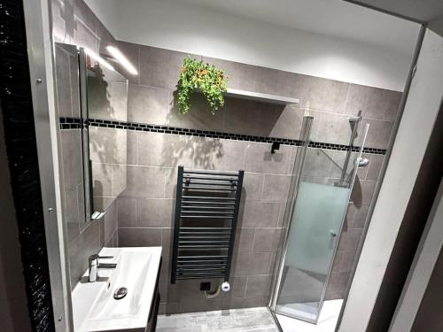 Un baño con ducha, lavabo y espejo. en Bienvenue au Quai 27, en Épernay