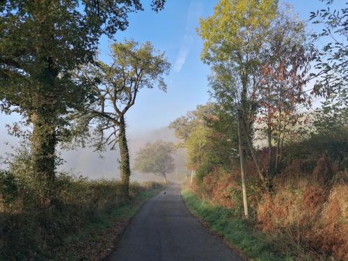 a road with trees on the side of it at Le Temps Serein in Vabre-Tizac