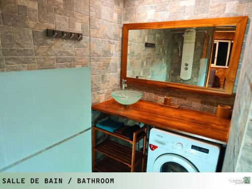 a bathroom with a sink and a washing machine at TI ZAZAKEL in Saint-Denis