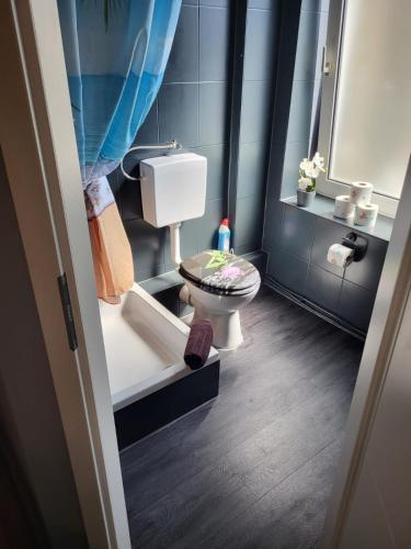a small bathroom with a toilet and a sink at Flensburg City - 24h in Flensburg