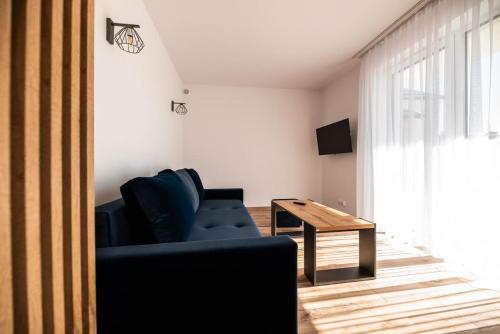 TV a/nebo společenská místnost v ubytování Apartamenty Henry