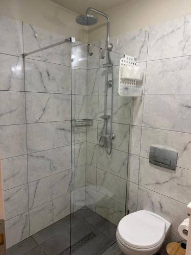 een badkamer met een glazen douche en een toilet bij Porphyra Studio in Halki