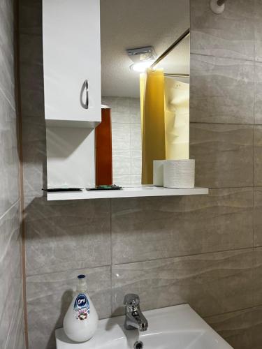 デスポトヴァツにあるŽUBOR VRELAのバスルーム(洗面台、鏡付)