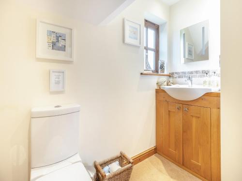 a bathroom with a sink and a toilet at Pennant in Llangurig