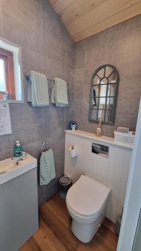 een badkamer met een toilet, een wastafel en een spiegel bij LittleGreenGlamping in Leitrim