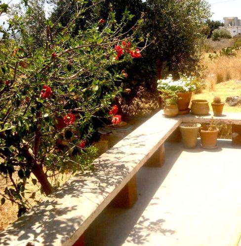 Foto Sunny house 2 minutes from the sea! 1
