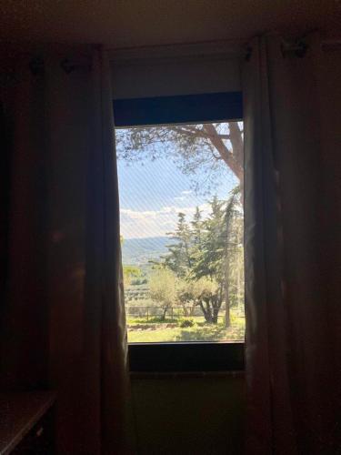 a window with a view of a field of trees at Locazione turistica ex Le Casette Di Cedromonte in Panicale