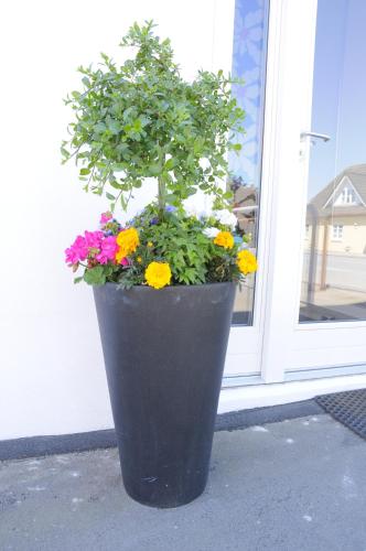 a black pot of flowers in front of a window at Hotel CoCo Aps in Esbjerg