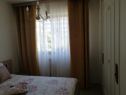Résidence Côte d'Azur Cannes photo 32