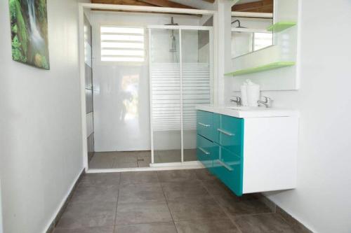 德賽的住宿－Les Hauts de Bornave，浴室设有蓝色橱柜和玻璃门