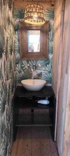 La salle de bains est pourvue d'un lavabo et d'un miroir. dans l'établissement Modo tiny relax spa, à Duggan
