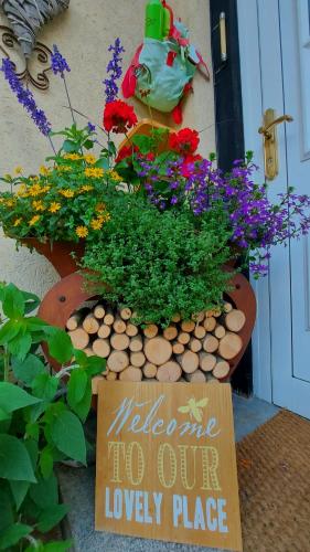Gallery image of B&B Hotel das onkel fritz in Spital am Semmering
