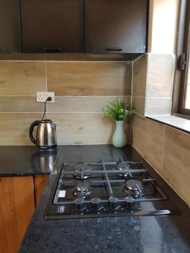 a kitchen with a stove top oven in a kitchen at Chinyonga Guesthouse in Limbe