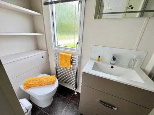 a bathroom with a sink and a toilet and a mirror at Waterside Lodge in South Cerney