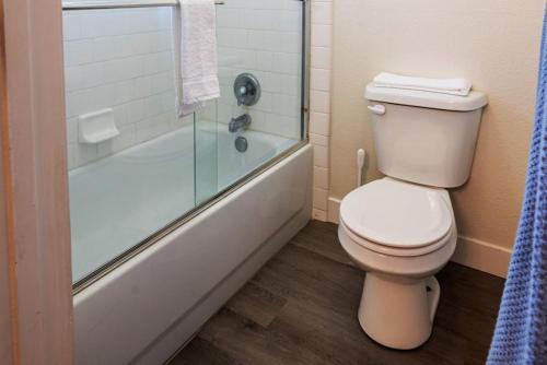 a bathroom with a toilet and a shower at Manic Mountain Forest Cabin 3 miles from Bass Lake in Oakhurst