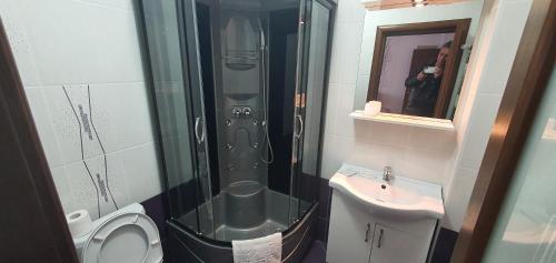a bathroom with a shower and a toilet and a sink at Pensiunea Casa Beatrice in 2 Mai
