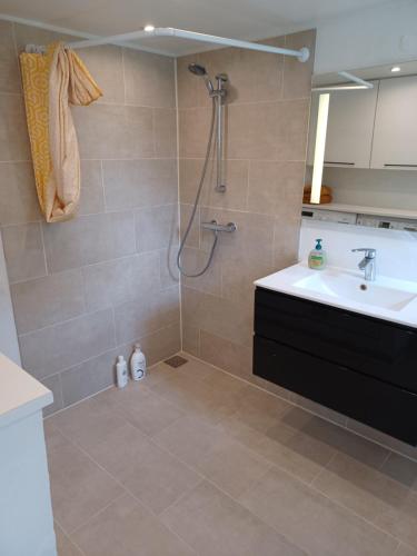 W łazience znajduje się prysznic i umywalka. w obiekcie Tæbring Holiday Home w mieście Nykøbing Mors