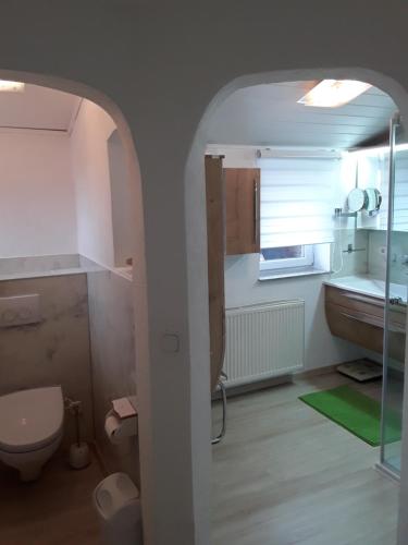 a bathroom with a toilet and a sink and a shower at Landhaus Yvita in Feistritz ob Bleiburg