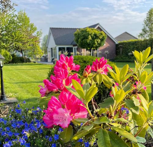 a house with pink flowers in a yard at Gastenverblijf bij de Buuren in Dirksland