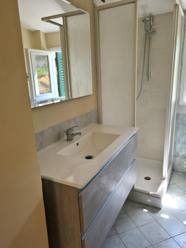 a bathroom with a sink and a shower at Flowers' Apartaments in Spoleto