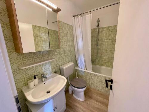 ein Bad mit einem Waschbecken, einem WC und einer Dusche in der Unterkunft Ferienwohnung Bonny in Sankt Andreasberg