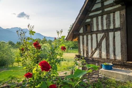 a garden with red flowers next to a building at Djurdjevina Family Farm in Kolašin