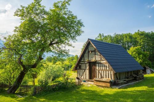 eine Blockhütte auf einem Feld mit einem Baum in der Unterkunft Djurdjevina Family Farm in Kolašin