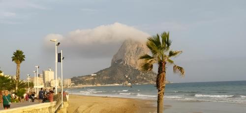 a palm tree on a beach with a mountain at La Linea in Calpe