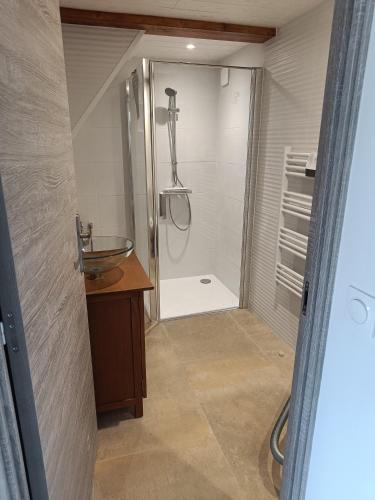 une salle de bain avec douche et lavabo dans l'établissement domaine de la pirouette, à Arvert