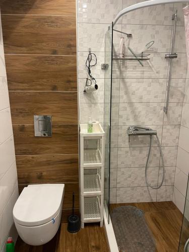 a bathroom with a toilet and a shower at Sun&Moon Apartment Obzor in Obzor