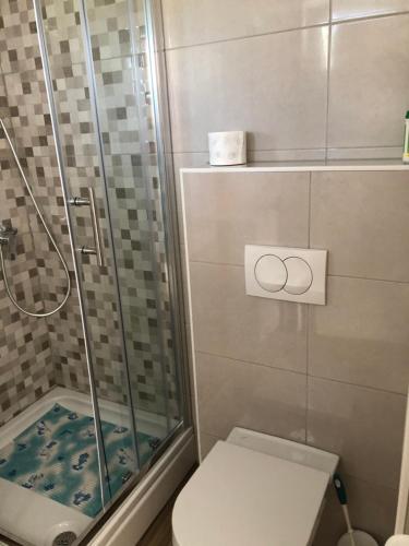 a bathroom with a toilet and a shower with two rings at Rocco in Dolac
