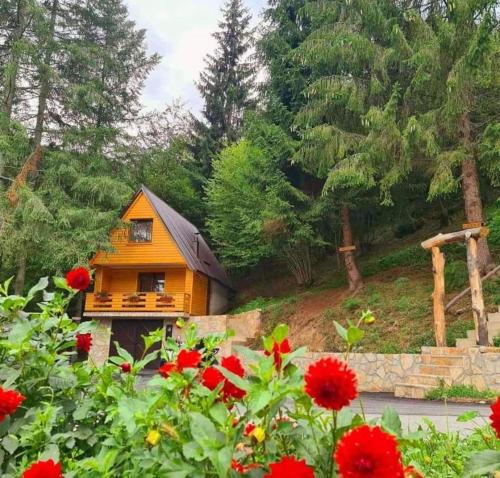 a small house on a hill with red flowers at Etno selo BISTROVO in Vitez