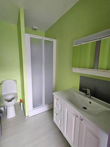une salle de bain verte avec des toilettes et un lavabo dans l'établissement Appartement Cosy proche Mer, à Gouville-sur-Mer