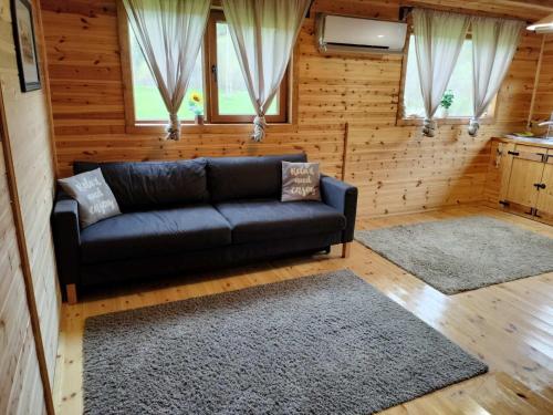 a living room with a couch and two rugs at Nexus B2 in Făgeţel