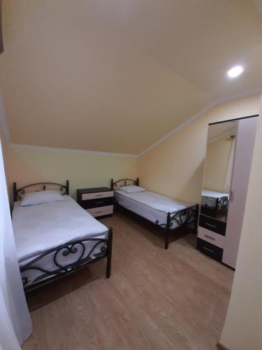 Shnogh的住宿－Shen toon guesthouse，一间设有两张床和镜子的房间