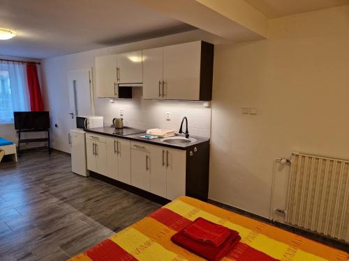 kuchnia z białymi szafkami i czerwonym ręcznikiem na podłodze w obiekcie Ubytování u Marty BEZ TERASY w mieście Šakvice