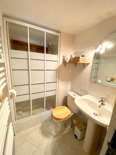 une salle de bain avec une douche, des toilettes et un lavabo dans l'établissement Résidence Saint-Jean, à Saint-Dalmas-le-Selvage