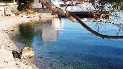 a body of water with a tree in the foreground at Apartments Adriatic in Selce