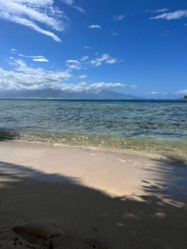 a beach with a shadow of a tree on the water at FARE ARIKI MOOREA in Afareaitu