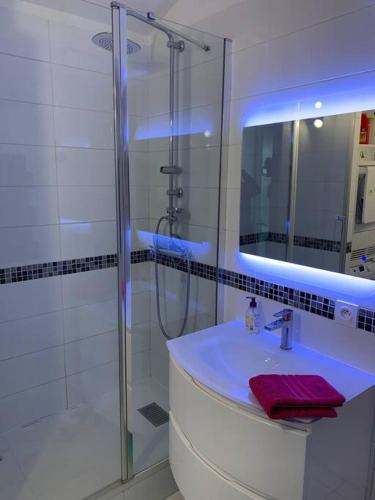 une salle de bain avec une douche, un lavabo et un miroir dans l'établissement Appart vue mer panoramique magique, à Saint-Mandrier-sur-Mer