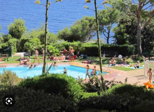 - un groupe de personnes dans une piscine à côté de l'eau dans l'établissement Appart vue mer panoramique magique, à Saint-Mandrier-sur-Mer