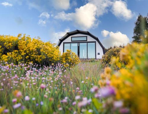 a field of flowers in front of a building at Backland in Williams