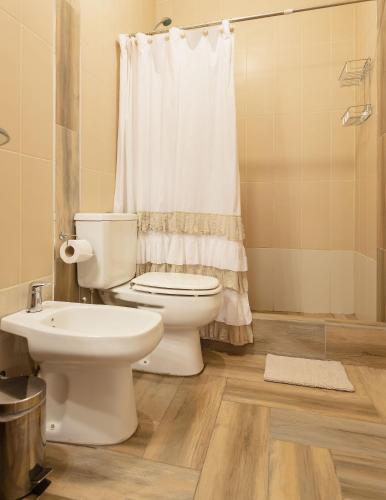 a bathroom with a white toilet and a shower at El Bolson Loft in El Bolsón